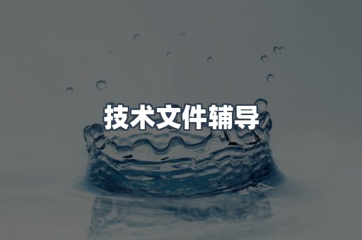 技术文件辅导