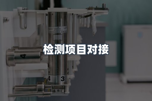 检测项目对接